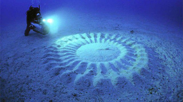 círculos bajo el agua, un paisaje de otro planeta